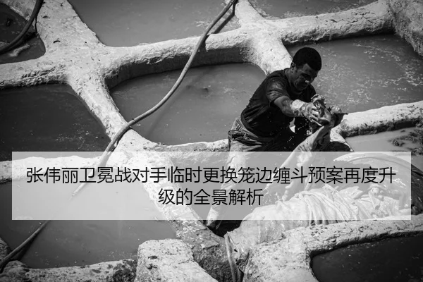 张伟丽卫冕战对手临时更换笼边缠斗预案再度升级的全景解析 | LEJING.COM